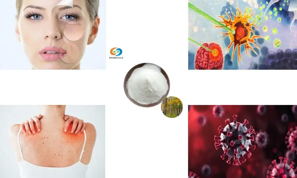 Is birch bark extract anti-inflammatory?
